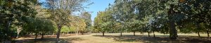 Discover Kempston