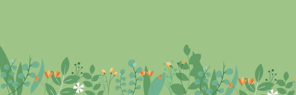 Spring Sale Jan 2026 ME